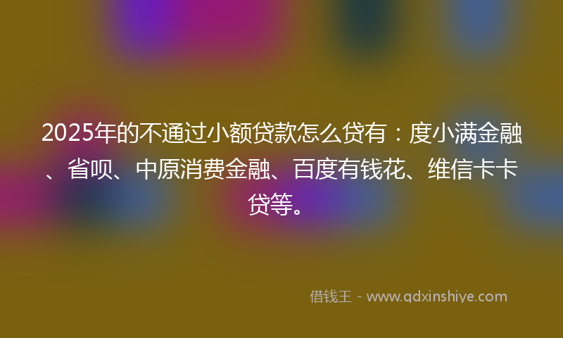2025年的不通过小额贷款怎么贷有：度小满金融、省呗、中原消费金融、百度有钱花、维信卡卡贷等。