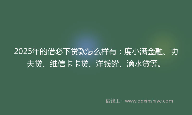 2025年的借必下贷款怎么样有：度小满金融、功夫贷、维信卡卡贷、洋钱罐、滴水贷等。