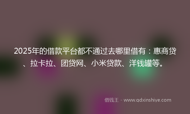 2025年的借款平台都不通过去哪里借有：惠商贷、拉卡拉、团贷网、小米贷款、洋钱罐等。