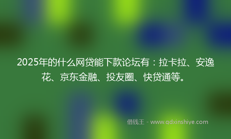 2025年的什么网贷能下款论坛有：拉卡拉、安逸花、京东金融、投友圈、快贷通等。