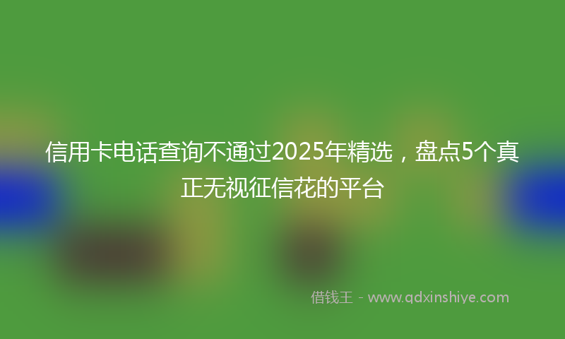 信用卡电话查询不通过2025年精选，盘点5个真正无视征信花的平台