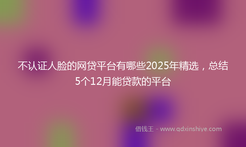 不认证人脸的网贷平台有哪些2025年精选，总结5个12月能贷款的平台