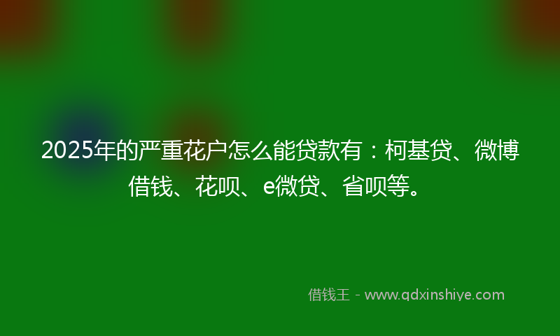2025年的严重花户怎么能贷款有：柯基贷、微博借钱、花呗、e微贷、省呗等。