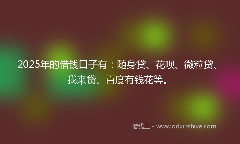 2025年的借钱口子有：随身贷、花呗、微粒贷、我来贷、百度有钱花等。