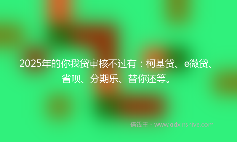 2025年的你我贷审核不过有：柯基贷、e微贷、省呗、分期乐、替你还等。
