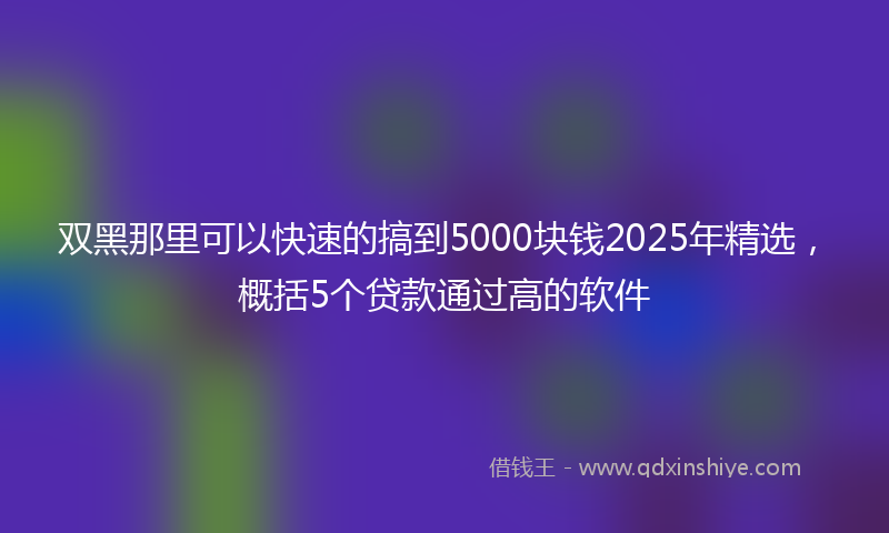 双黑那里可以快速的搞到5000块钱2025年精选，概括5个贷款通过高的软件