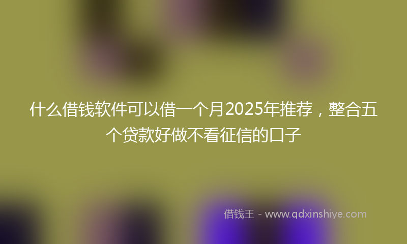 什么借钱软件可以借一个月2025年推荐，整合五个贷款好做不看征信的口子