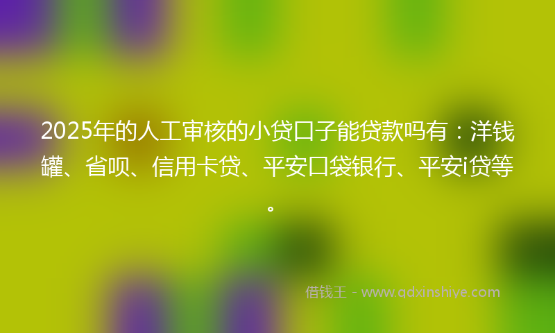 2025年的人工审核的小贷口子能贷款吗有:洋钱罐、省呗、信用卡贷、平安口袋银行、平安i贷等。