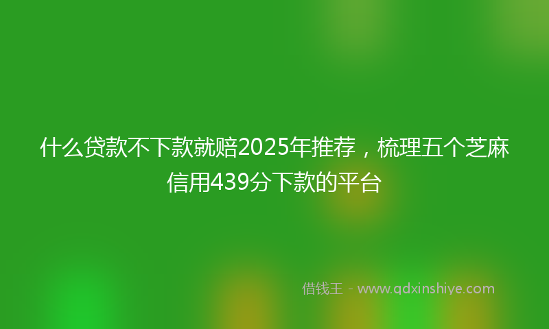 什么贷款不下款就赔2025年推荐，梳理五个芝麻信用439分下款的平台