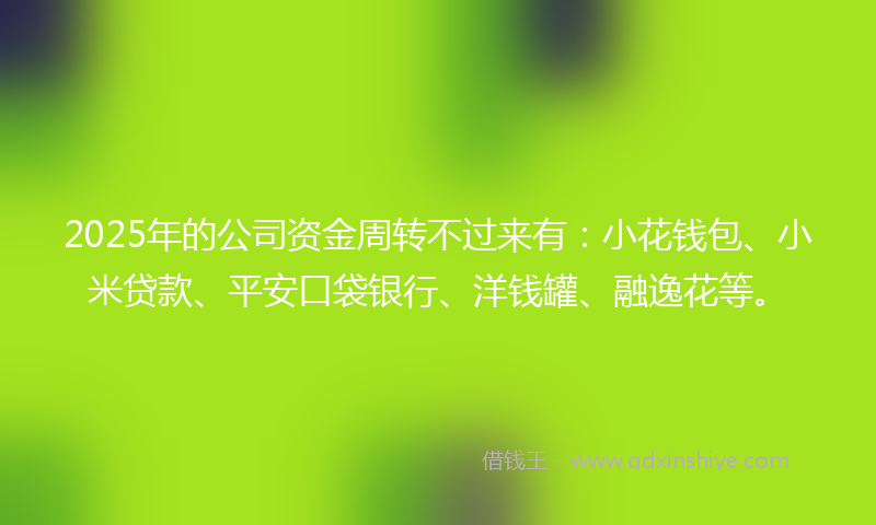 2025年的公司资金周转不过来有：小花钱包、小米贷款、平安口袋银行、洋钱罐、融逸花等。