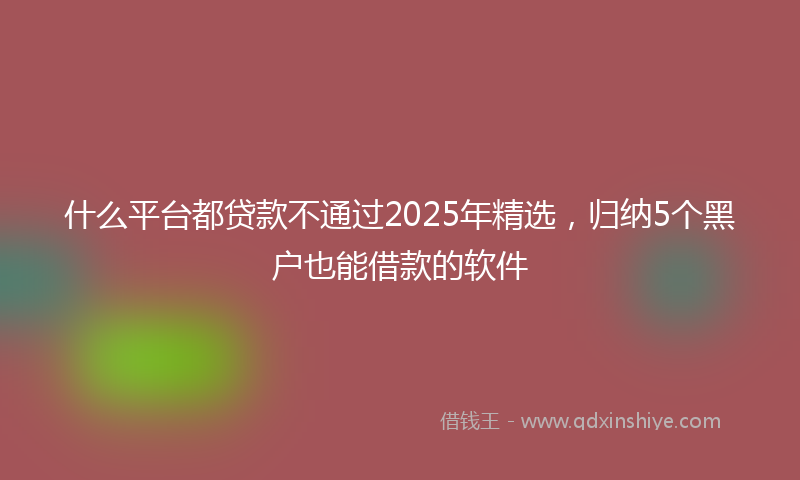 什么平台都贷款不通过2025年精选，归纳5个黑户也能借款的软件