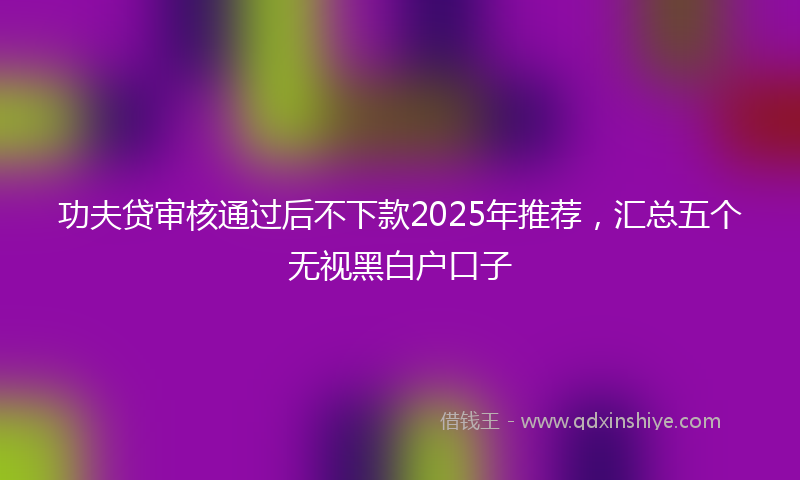 功夫贷审核通过后不下款2025年推荐，汇总五个无视黑白户口子