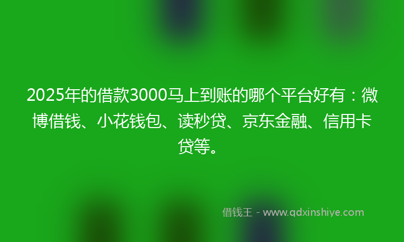 2025年的借款3000马上到账的哪个平台好有：微博借钱、小花钱包、读秒贷、京东金融、信用卡贷等。