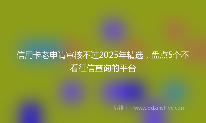 信用卡老申请审核不过2025年精选，盘点5个不看征信查询的平台