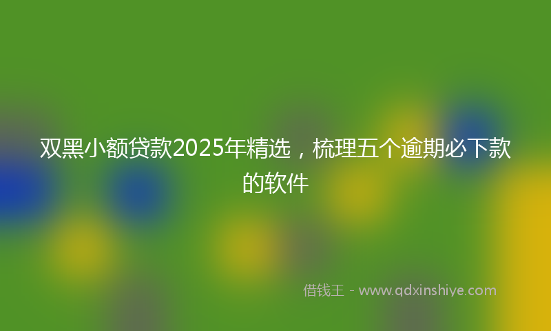 双黑小额贷款2025年精选，梳理五个逾期必下款的软件