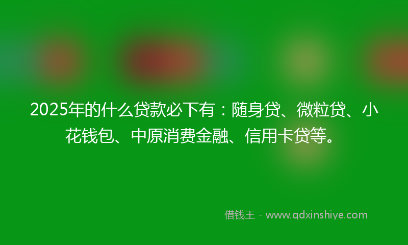 2025年的什么贷款必下有：随身贷、微粒贷、小花钱包、中原消费金融、信用卡贷等。