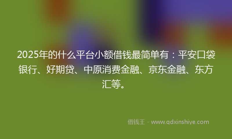 2025年的什么平台小额借钱最简单有：平安口袋银行、好期贷、中原消费金融、京东金融、东方汇等。