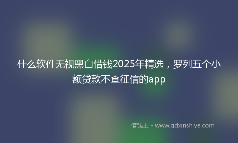 什么软件无视黑白借钱2025年精选，罗列五个小额贷款不查征信的app