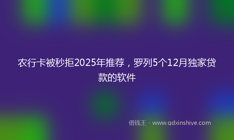 农行卡被秒拒2025年推荐，罗列5个12月独家贷款的软件