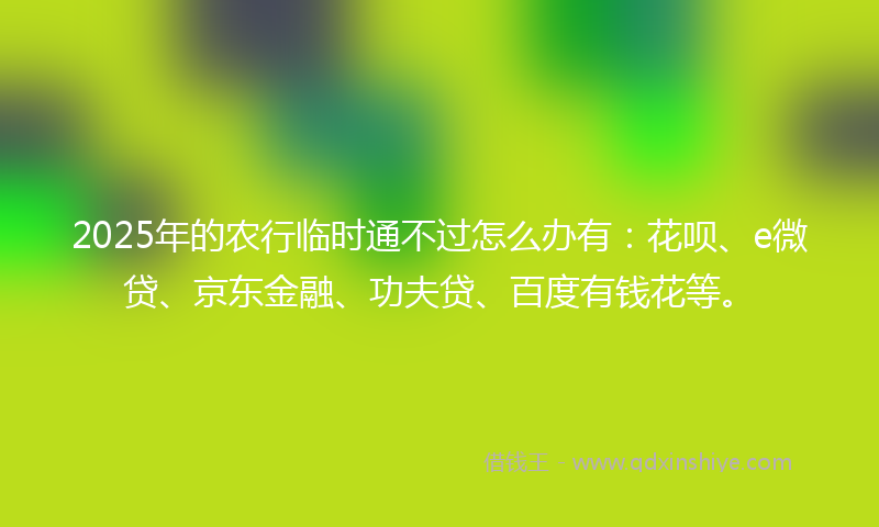2025年的农行临时通不过怎么办有：花呗、e微贷、京东金融、功夫贷、百度有钱花等。