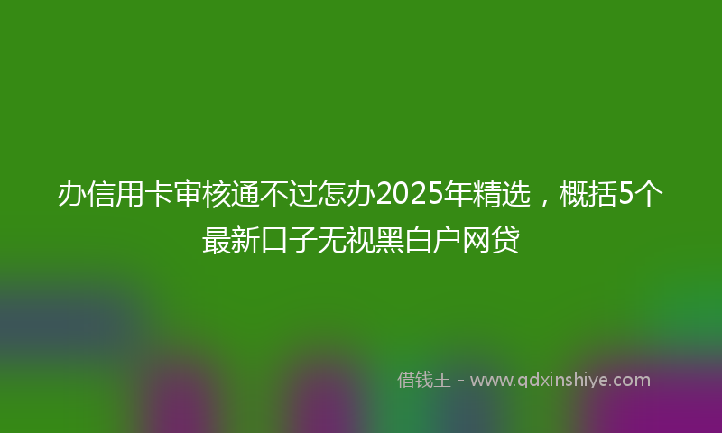 办信用卡审核通不过怎办2025年精选，概括5个最新口子无视黑白户网贷