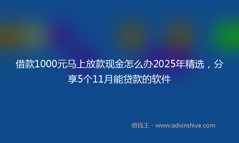 借款1000元马上放款现金怎么办2025年精选，分享5个11月能贷款的软件
