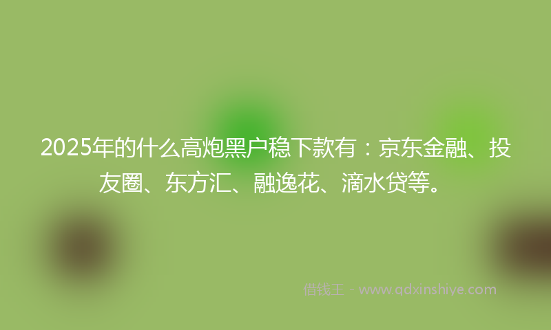 2025年的什么高炮黑户稳下款有：京东金融、投友圈、东方汇、融逸花、滴水贷等。