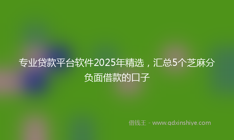 专业贷款平台软件2025年精选，汇总5个芝麻分负面借款的口子