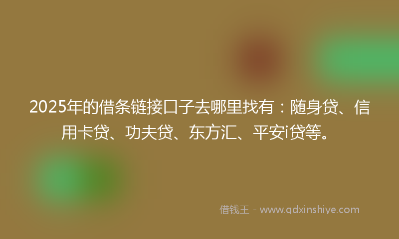 2025年的借条链接口子去哪里找有：随身贷、信用卡贷、功夫贷、东方汇、平安i贷等。