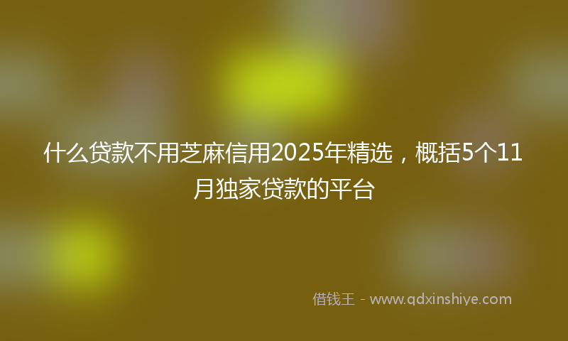 什么贷款不用芝麻信用2025年精选，概括5个11月独家贷款的平台