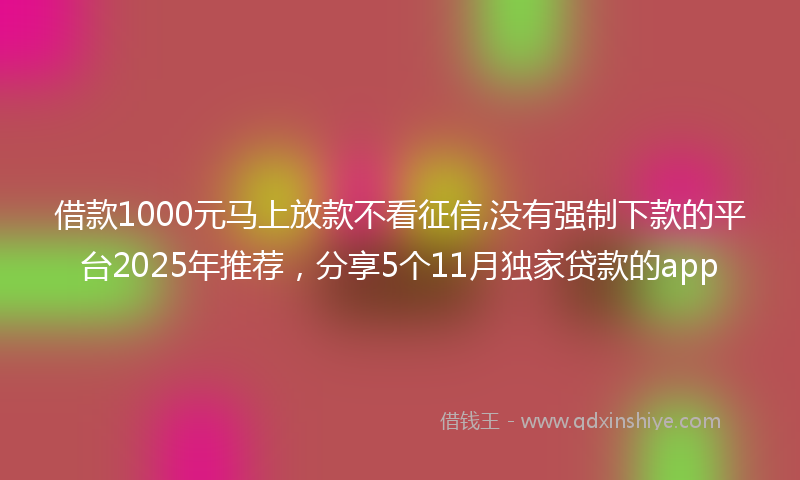 借款1000元马上放款不看征信,没有强制下款的平台2025年推荐，分享5个11月独家贷款的app