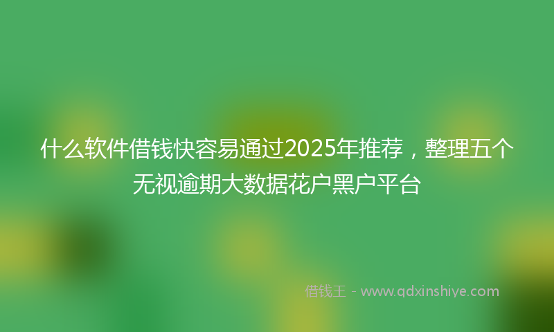 什么软件借钱快容易通过2025年推荐，整理五个无视逾期大数据花户黑户平台