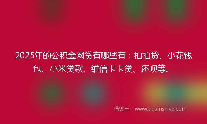 2025年的公积金网贷有哪些有：拍拍贷、小花钱包、小米贷款、维信卡卡贷、还呗等。