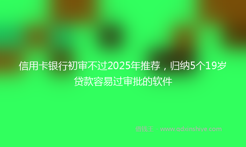 信用卡银行初审不过2025年推荐，归纳5个19岁贷款容易过审批的软件