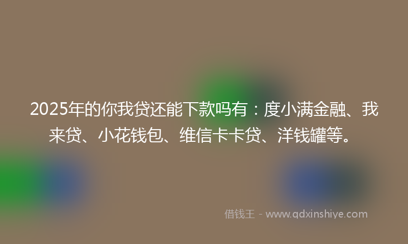 2025年的你我贷还能下款吗有：度小满金融、我来贷、小花钱包、维信卡卡贷、洋钱罐等。