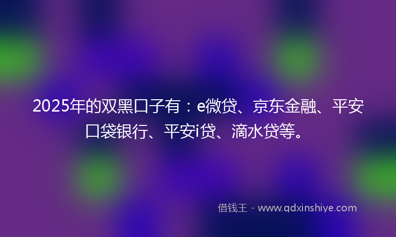 2025年的双黑口子有：e微贷、京东金融、平安口袋银行、平安i贷、滴水贷等。