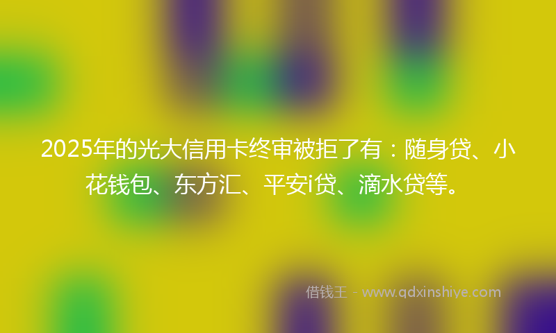 2025年的光大信用卡终审被拒了有：随身贷、小花钱包、东方汇、平安i贷、滴水贷等。
