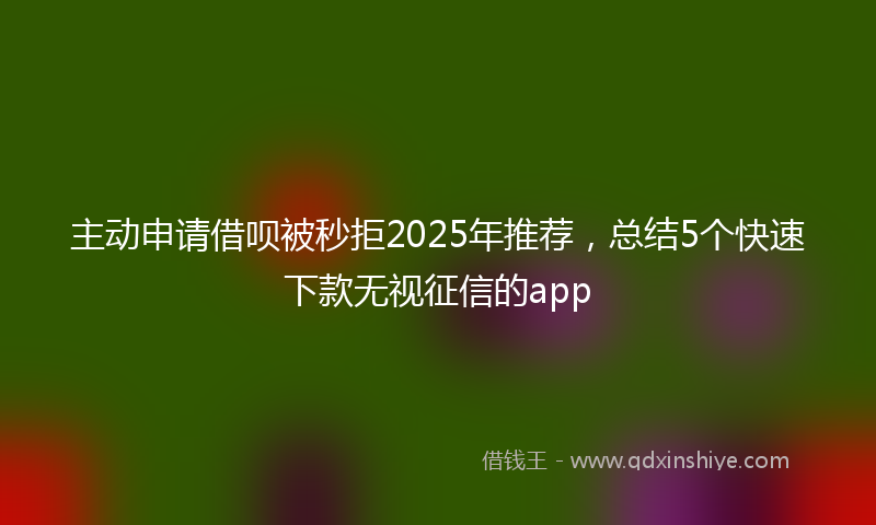 主动申请借呗被秒拒2025年推荐，总结5个快速下款无视征信的app