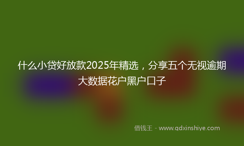 什么小贷好放款2025年精选，分享五个无视逾期大数据花户黑户口子