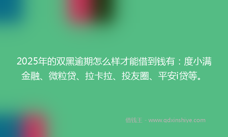 2025年的双黑逾期怎么样才能借到钱有：度小满金融、微粒贷、拉卡拉、投友圈、平安i贷等。
