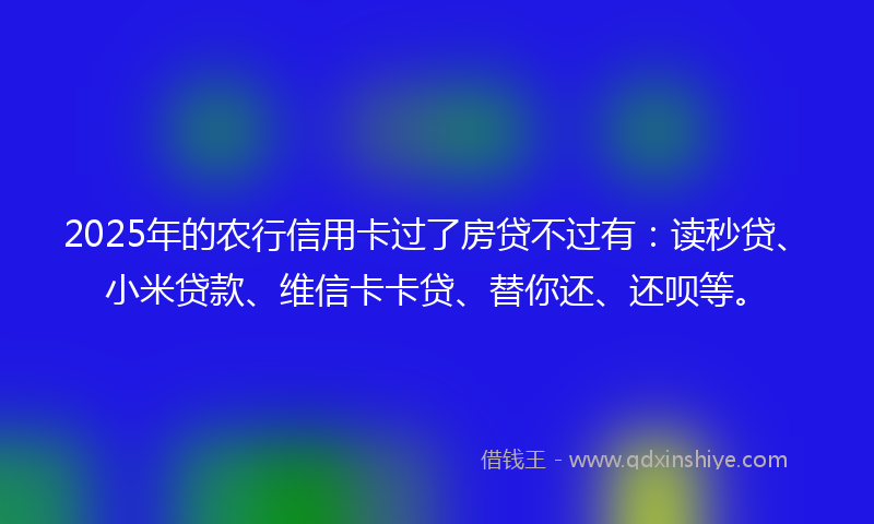 2025年的农行信用卡过了房贷不过有：读秒贷、小米贷款、维信卡卡贷、替你还、还呗等。
