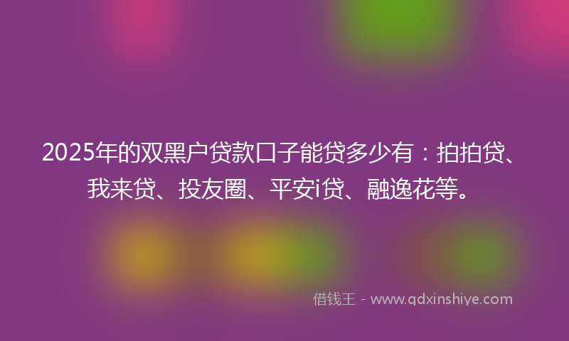 2025年的双黑户贷款口子能贷多少有：拍拍贷、我来贷、投友圈、平安i贷、融逸花等。