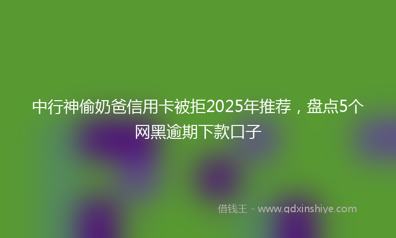 中行神偷奶爸信用卡被拒2025年推荐，盘点5个网黑逾期下款口子