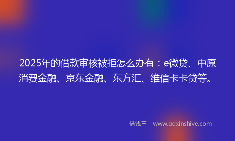 2025年的借款审核被拒怎么办有：e微贷、中原消费金融、京东金融、东方汇、维信卡卡贷等。