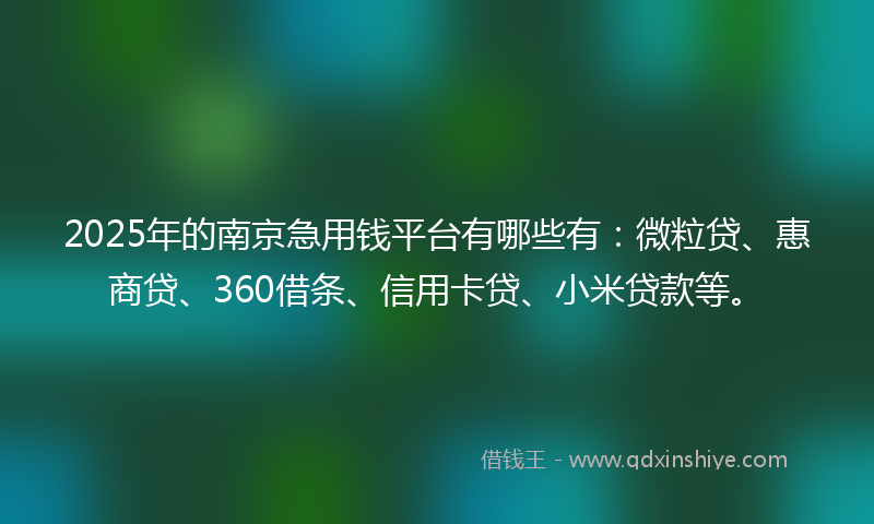 2025年的南京急用钱平台有哪些有：微粒贷、惠商贷、360借条、信用卡贷、小米贷款等。