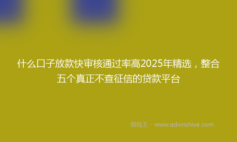 什么口子放款快审核通过率高2025年精选，整合五个真正不查征信的贷款平台