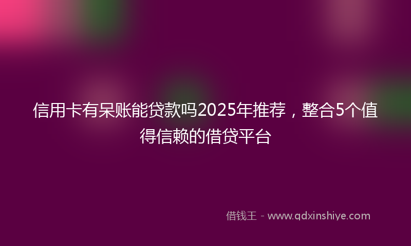 信用卡有呆账能贷款吗2025年推荐，整合5个值得信赖的借贷平台