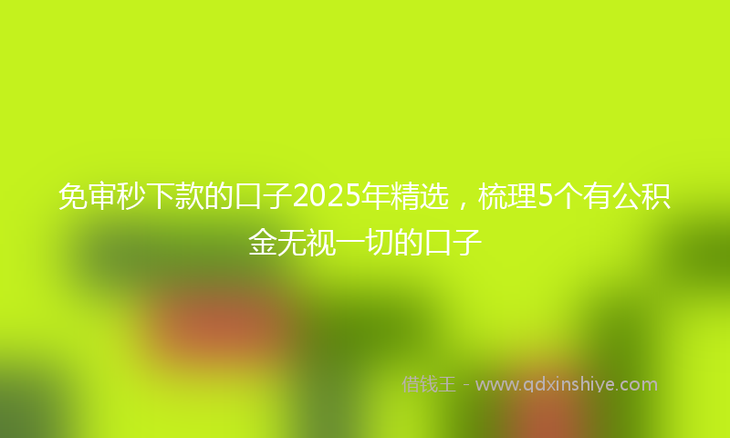 免审秒下款的口子2025年精选，梳理5个有公积金无视一切的口子