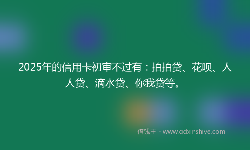 2025年的信用卡初审不过有：拍拍贷、花呗、人人贷、滴水贷、你我贷等。