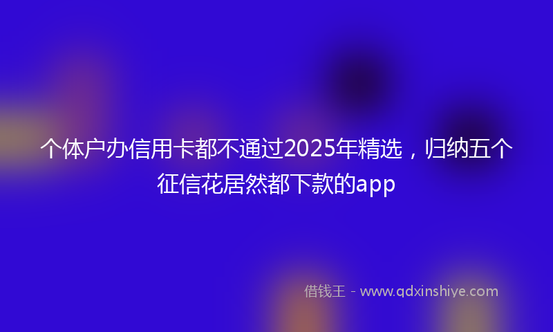 个体户办信用卡都不通过2025年精选，归纳五个征信花居然都下款的app
